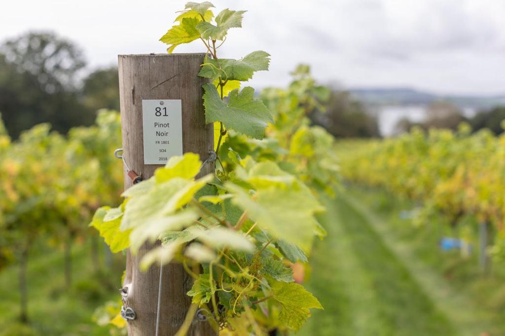 Hotel Lympstone Manor Restaurant & Vineyard - Relais & Chateaux