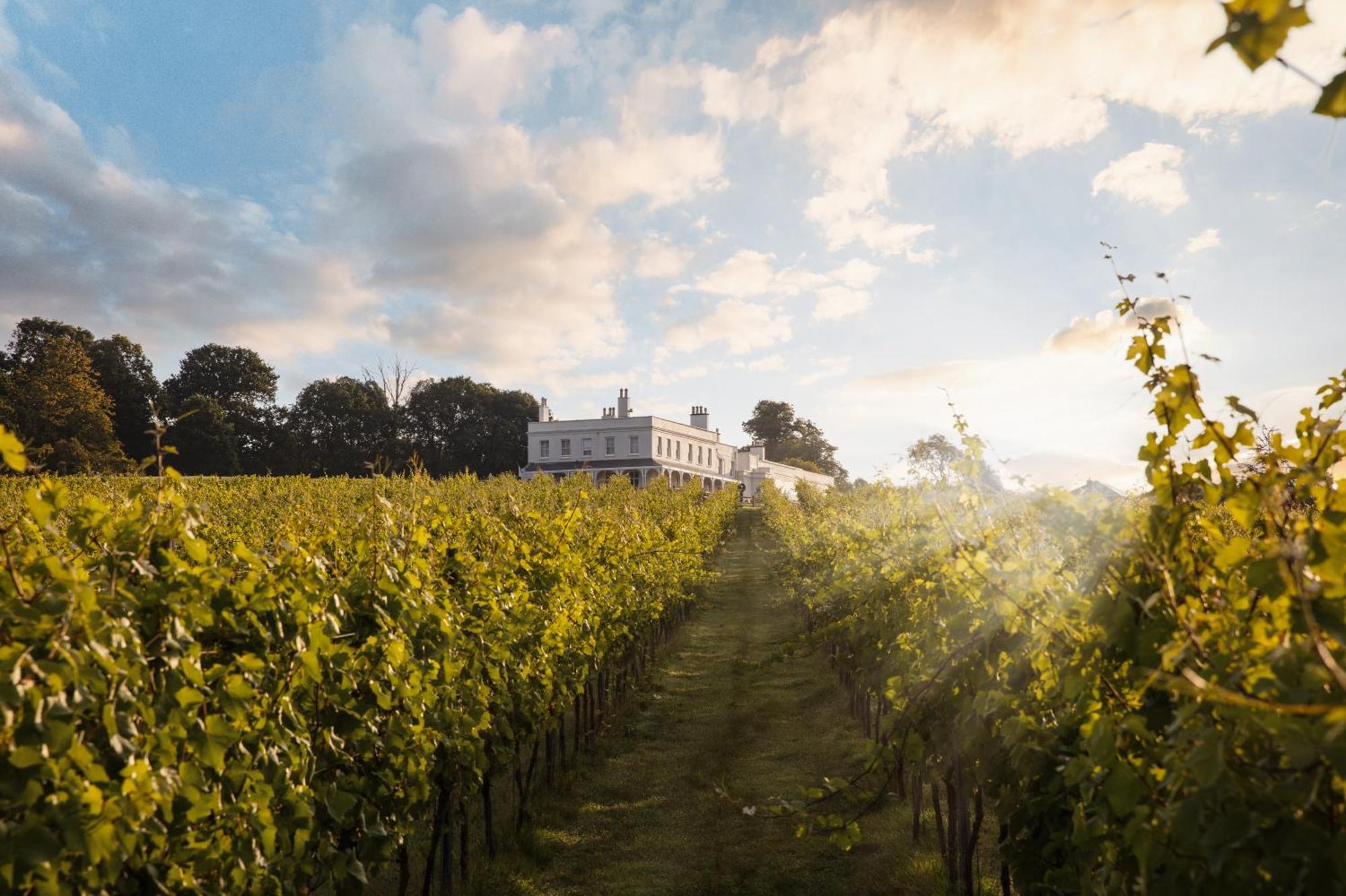 Lympstone Manor Restaurant & Vineyard - Relais & Chateaux Hotel 5*
